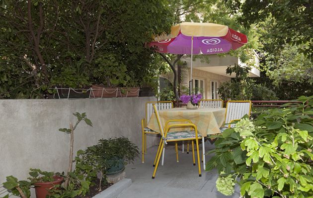 terrace surrounded by flowers