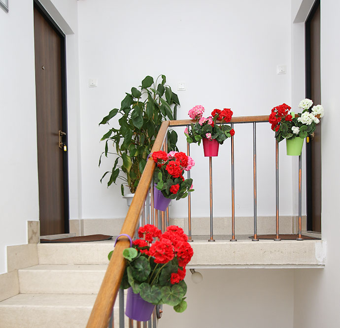apartments City, Makarska - stairs, flowers
